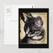 Tabby Kitten Postkarte (Vorne/Hinten)