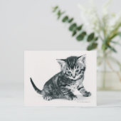 Tabby Kitten Postkarte (Stehend Vorderseite)