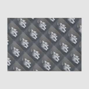 Tabby Kitten Seidenpapier