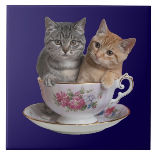 Tabby Kitten Teacup Decorative Tile Fliese (Vorderseite)