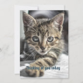 Tabby Kitten Thinking Your Message Card Einladung (Vorderseite)