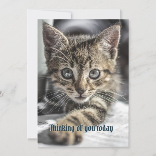 Tabby Kitten Thinking Your Message Card Einladung (Vorderseite)