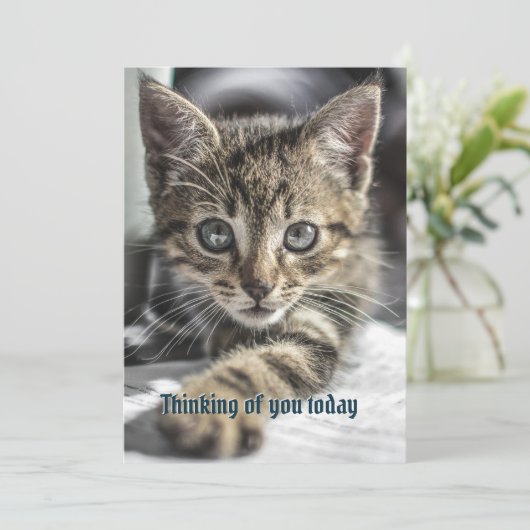 Tabby Kitten Thinking Your Message Card Einladung (Stehend Vorderseite)