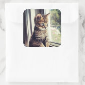 Tabby Kitten Watching Quadratischer Aufkleber (Tasche)