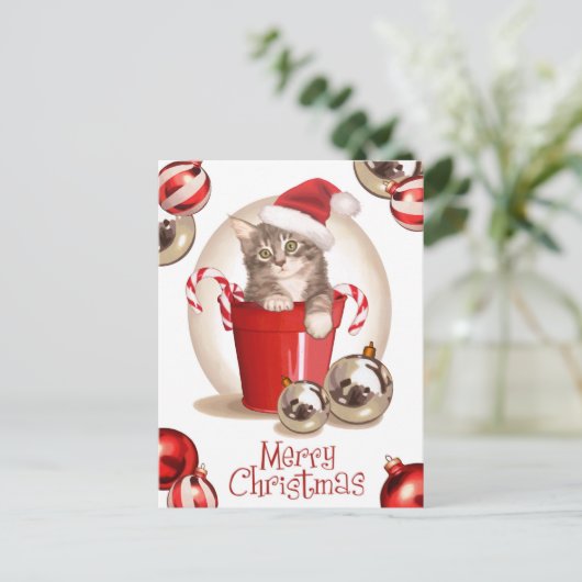 Tabby Kitten Weihnachten (Stehend Vorderseite)