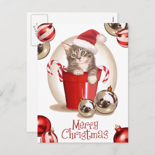 Tabby Kitten Weihnachten (Vorne/Hinten)