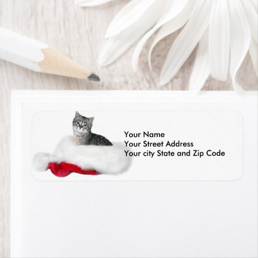 Tabby Kitten Weihnachten (Insitu)