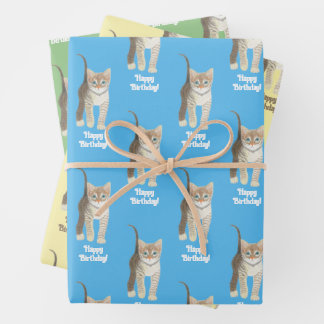 Tabby Kitten Wrapping Paper Sheets Personalize Geschenkpapier Set