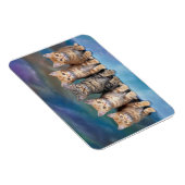 Tabby Kittens in einem Row Magnet (Rechte Seite)