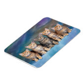 Tabby Kittens in einem Row Magnet (Linke Seite)
