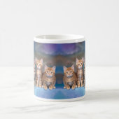 Tabby Kittens in einer Reihe Kaffeetasse (Mittel)