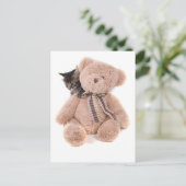tabby kittens playing with a teddy bear postkarte (Stehend Vorderseite)