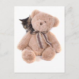 tabby kittens playing with a teddy bear postkarte