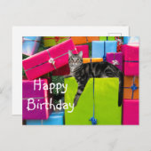 Tabby Kitty Cat Geburtstag Postkarte (Vorne/Hinten)