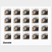 Tabby Kitty Cat Portrait Quadratischer Aufkleber (Blatt)