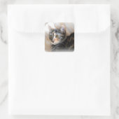 Tabby Kitty Cat Portrait Quadratischer Aufkleber (Tasche)