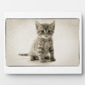 Tabby Kitty Fotoplatte (Vorderseite)