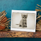 Tabby Kitty Fotoplatte (Seite)