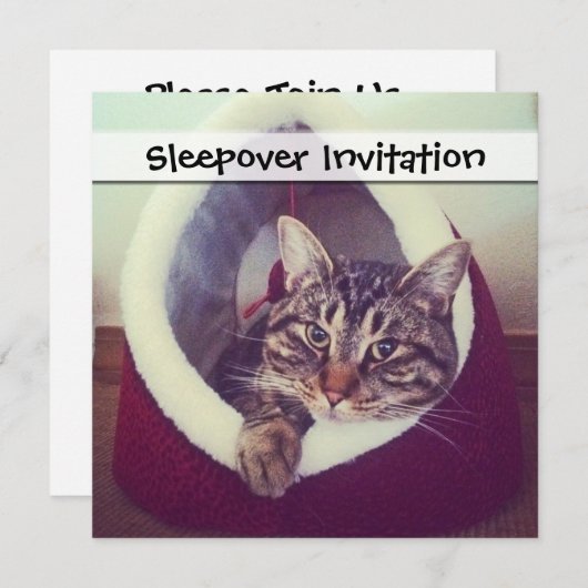 Tabby Kitty in Hütte Nah-Up Foto Einladung (Vorne/Hinten)