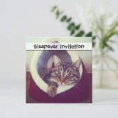 Tabby Kitty in Hütte Nah-Up Foto Einladung (Stehend Vorderseite)