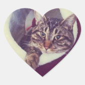 Tabby Kitty in Hütte Nah-Up Foto Herz-Aufkleber (Vorderseite)