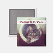 Tabby Kitty in Hütte Nah-Up Foto Magnet (Vorderseite/Rückseite)