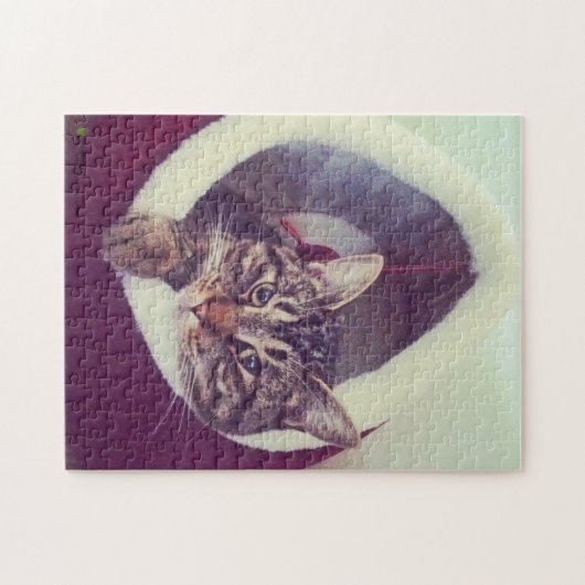 Tabby Kitty in Hütte Nah-Up Foto Puzzle (Horizontal)