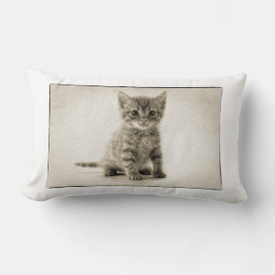 Tabby Kitty Lendenkissen