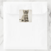 Tabby Kitty Quadratischer Aufkleber (Tasche)