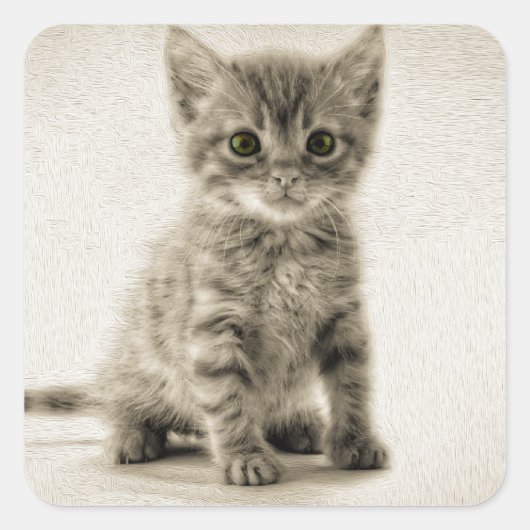 Tabby Kitty Quadratischer Aufkleber (Vorderseite)