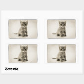Tabby Kitty Rechteckiger Aufkleber (Blatt)