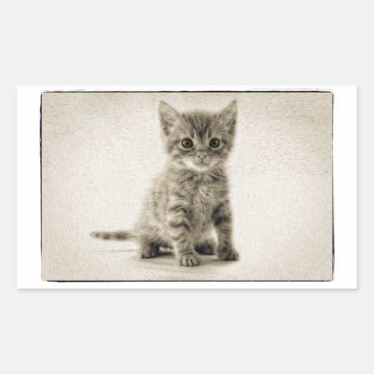 Tabby Kitty Rechteckiger Aufkleber (Vorderseite)