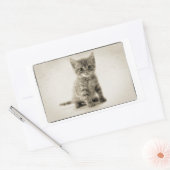 Tabby Kitty Rechteckiger Aufkleber (Umschlag)