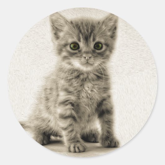 Tabby Kitty Runder Aufkleber (Vorderseite)