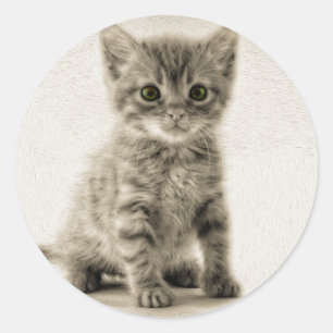 Tabby Kitty Runder Aufkleber