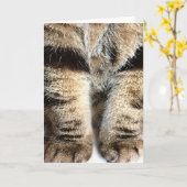 Tabby Leges Note Card - Leere Innenseite Karte (Gelbe Blume)