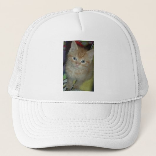 Tabby-Liebe Truckerkappe (Vorderseite)