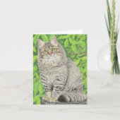 Tabby Longhair Karte (Vorderseite)