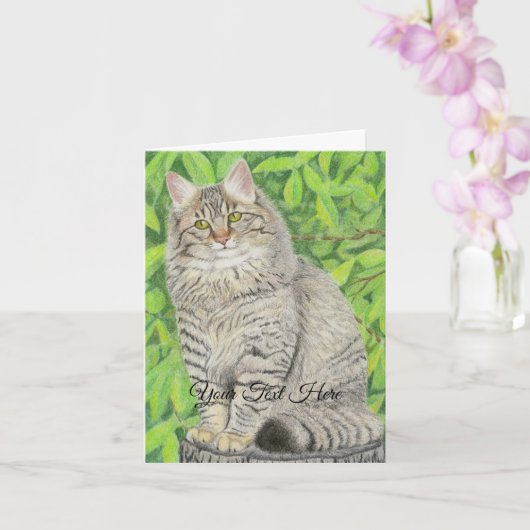 Tabby Longhair Karte (Orchidee)