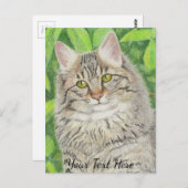 Tabby Longhair Postkarte (Vorne/Hinten)