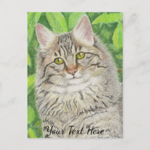 Tabby Longhair Postkarte