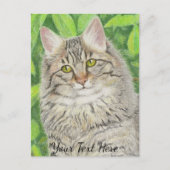 Tabby Longhair Postkarte (Vorderseite)