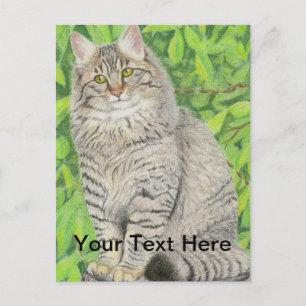 Tabby Longhair Postkarte