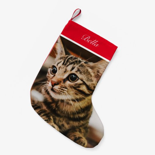 Tabby-Look (Anpassen) Kleiner Weihnachtsstrumpf (Vorderansicht (hängend))