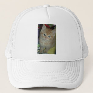 Tabby Love Truckerkappe