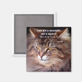 Tabby Maine Coon Cat Lover & Poem Magnet (Vorderseite/Rückseite)