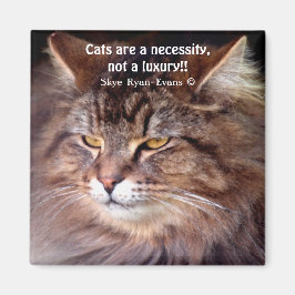Tabby Maine Coon Cat Lover & Poem Magnet