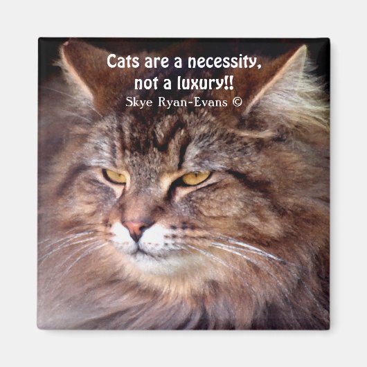 Tabby Maine Coon Cat Lover & Poem Magnet (Vorne)
