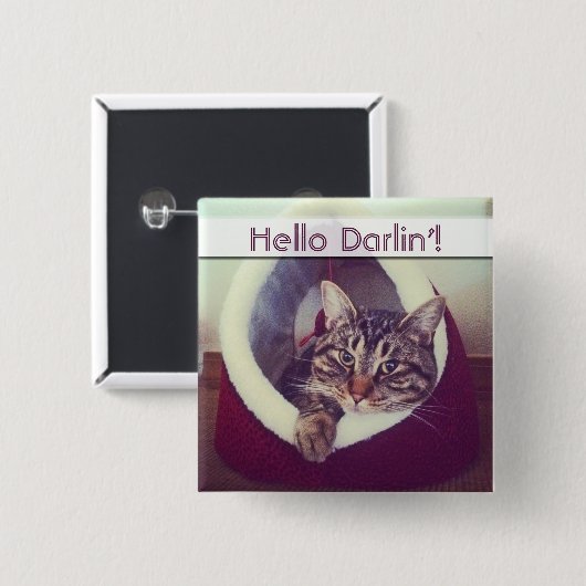 Tabby-Miezekatze in der Button (Vorne & Hinten)