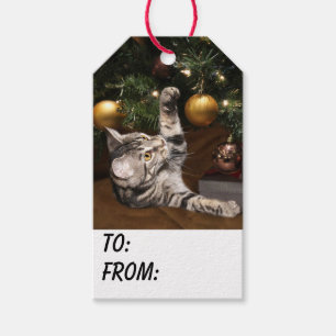 Tabby-Miezekatze-Katze Weihnachten Geschenkanhänger